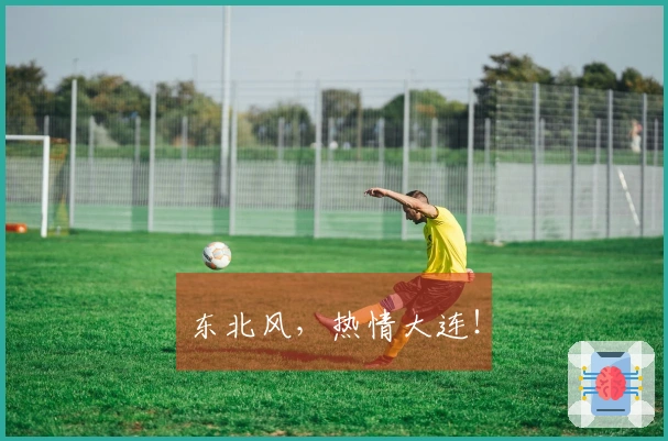 东北风，热情大连！